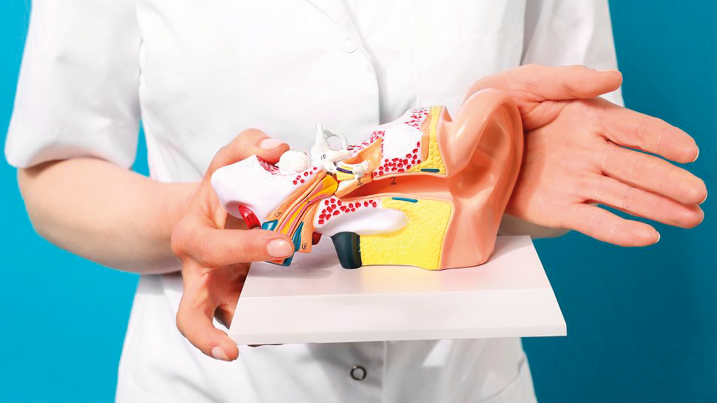 Видове слухова загуба