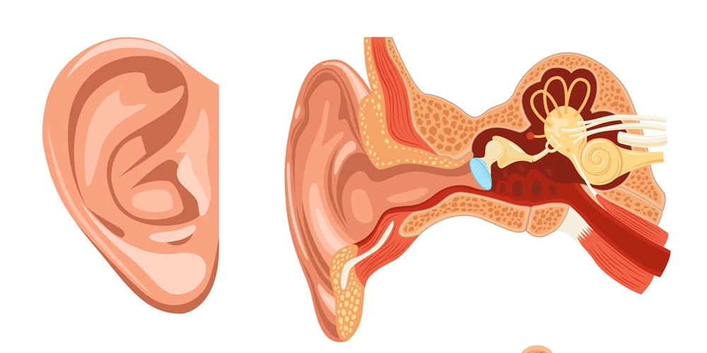 Вродена липса на ухо | Ушни аномалии